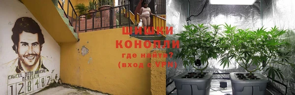 дживик Аркадак