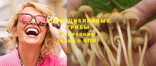 стаф Баксан