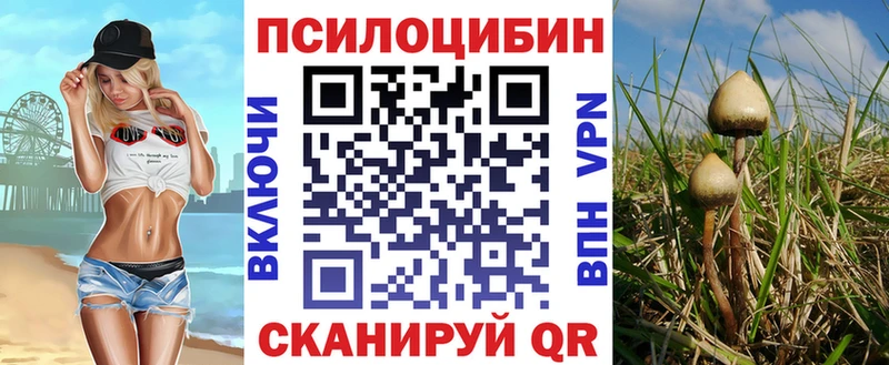 omg вход Талдом Псилоцибиновые грибы ЛСД