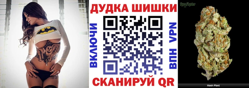 Канабис план  Талдом 